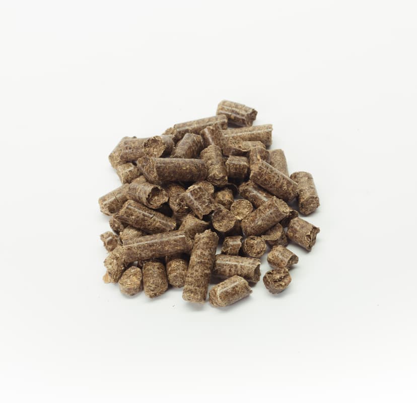 Horse Food 7