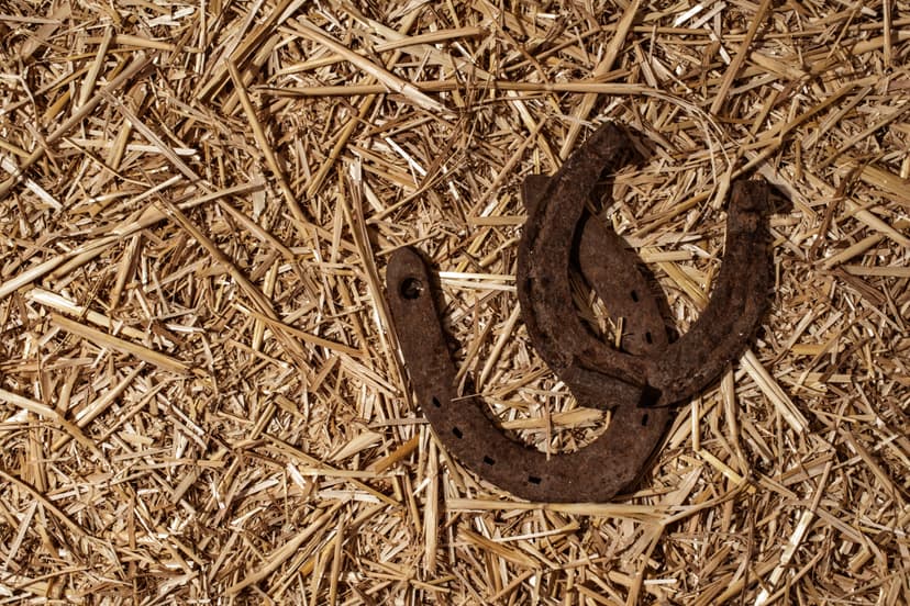 Horse Food 8